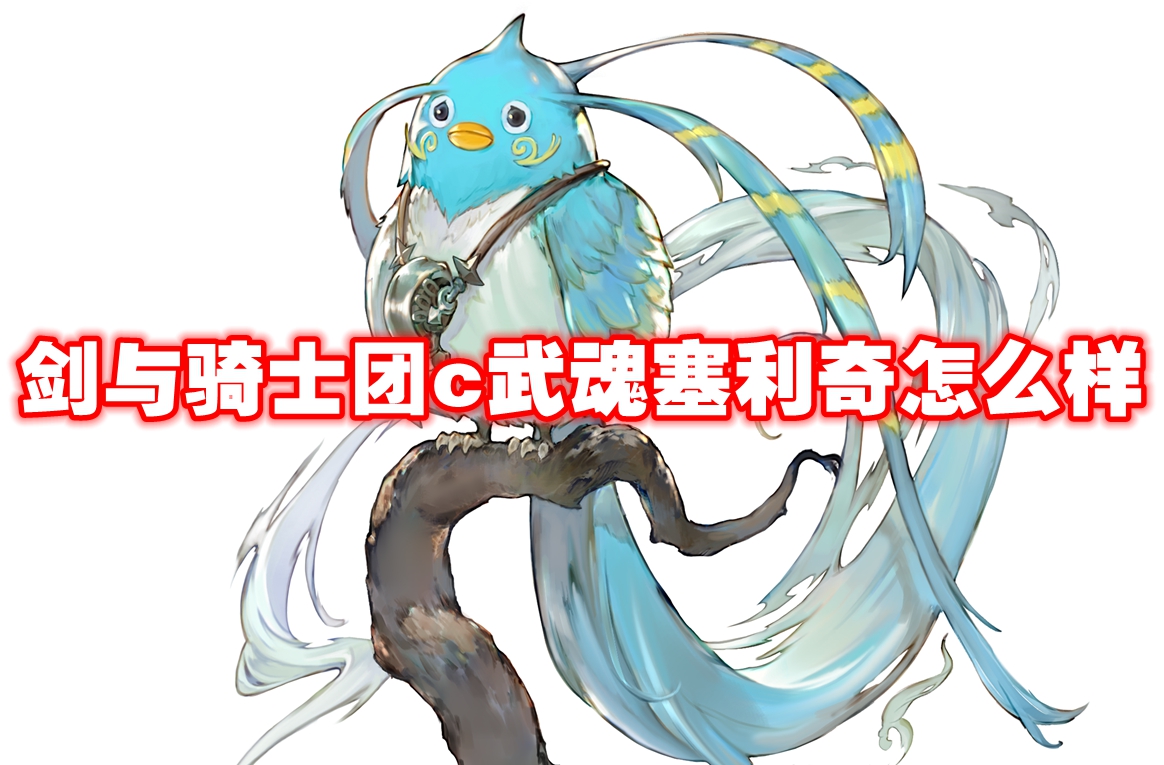 剑与骑士团c武魂塞利奇怎么样