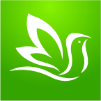 百灵健康app