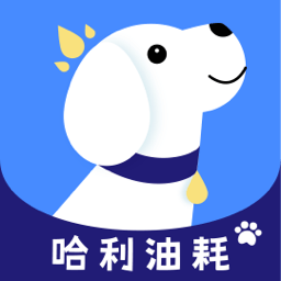 哈利油耗app