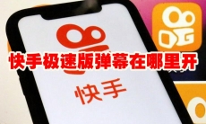 快手极速版弹幕在哪里开