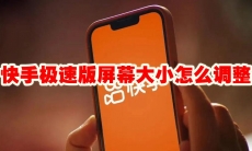 快手极速版屏幕大小怎么调整