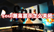 soul距离显示怎么关闭