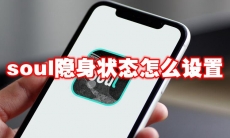 soul隐身状态怎么设置