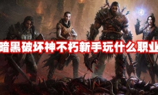 暗黑破坏神不朽新手玩什么职业