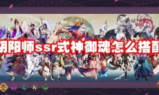 阴阳师ssr式神御魂怎么搭配