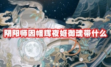 阴阳师因幡辉夜姬御魂带什么