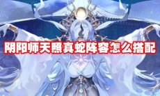阴阳师天照真蛇阵容怎么搭配