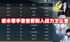 逆水寒手游查看别人战力怎么查