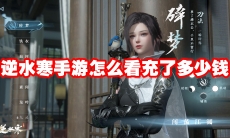 逆水寒手游怎么看充了多少钱