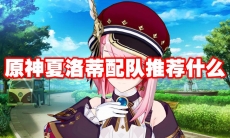 原神夏洛蒂配队推荐什么