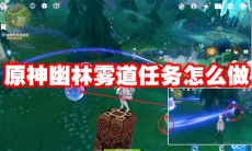 原神幽林雾道任务怎么做