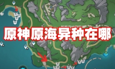 原神原海异种在哪