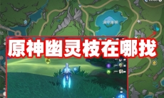 原神幽灵枝在哪找