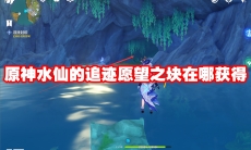 原神水仙的追迹愿望之块在哪获得