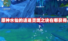 原神水仙的追迹灵魂之块在哪获得
