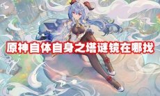 原神自体自身之塔谜镜在哪找