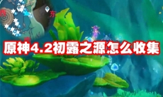 原神4.2初露之源怎么收集