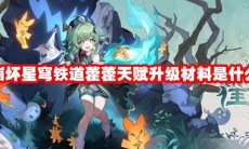 崩坏星穹铁道藿藿天赋升级材料是什么