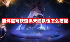 崩坏星穹铁道黑天鹅队伍怎么搭配