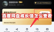 百度网盘成长值怎么查看