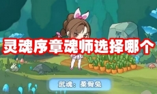 灵魂序章魂师选择哪个