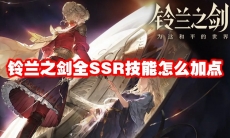 铃兰之剑全SSR技能怎么加点