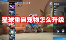 星球重启宠物怎么升级
