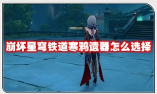崩坏星穹铁道寒鸦遗器怎么选择