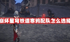 崩坏星穹铁道寒鸦队伍怎么搭配