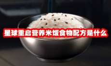 星球重启营养米饭食物配方是什么