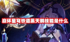 崩坏星穹铁道黑天鹅技能是什么