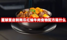 星球重启刺南瓜红烩牛肉食物配方是什么