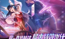 瑶-真我赫兹局内特效优化沟通