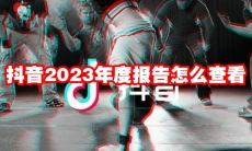 抖音2023年度报告怎么查看