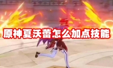 原神夏沃蕾怎么加点技能