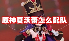 原神夏沃蕾怎么配队