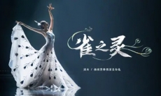 【小寒国风节】国宝级孔雀舞有多美？杨丽萍舞团灵魂演绎绝美《雀之灵》！