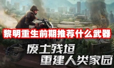黎明重生前期推荐什么武器