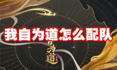 我自为道怎么配队