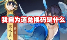 我自为道有哪些兑换码