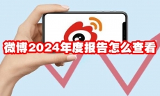 微博2024年度报告怎么查看