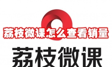 荔枝微课怎么查看销量