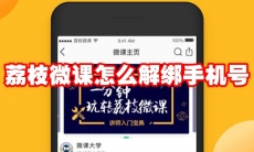 荔枝微课怎么解绑手机号