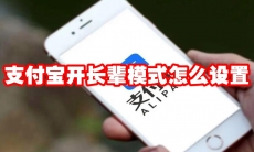 支付宝开长辈模式怎么设置
