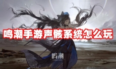 鸣潮手游声骸系统怎么玩