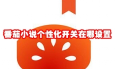 番茄小说个性化开关在哪设置
