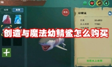 创造与魔法幼鲭鲨怎么购买