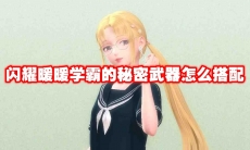 闪耀暖暖学霸的秘密武器怎么搭配