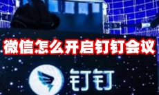 微信怎么开启钉钉会议