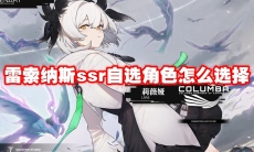 雷索纳斯ssr自选角色怎么选择